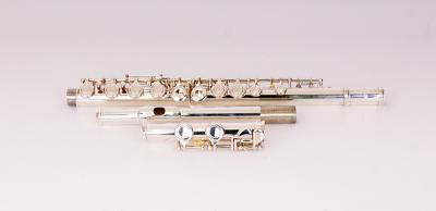 FLT-FL-16S Флейта Conductor