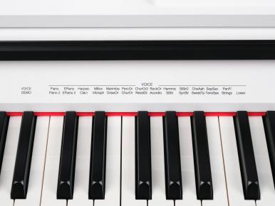 DP250RB-PVC-WH Цифровое пианино, белое, со стойкой, Medeli