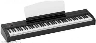 Stage Starter Цифровое пианино, черное, со стойкой Orla
