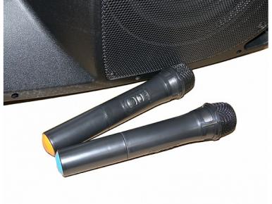 PR-15HR Акустическая система с 2 микрофонами, аккумуляторная, 120Вт, Leem